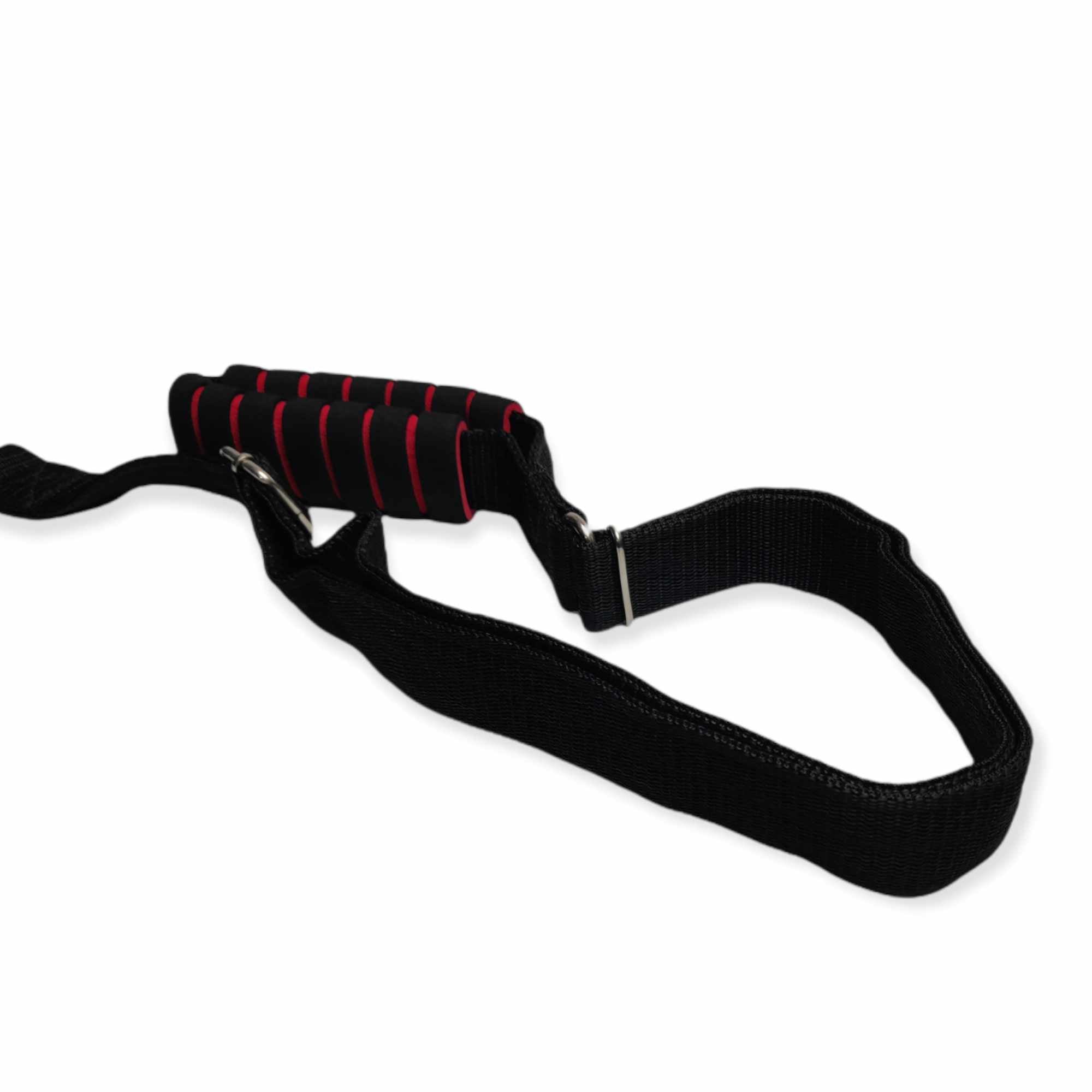 6.5 Feet Nylon Belt and Chain Leash with Choke Chain Collar – 3 in 1