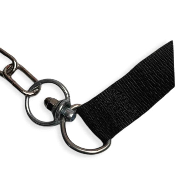 6.5 Feet Nylon Belt and Chain Leash with Choke Chain Collar – 3 in 1