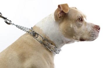 Choke Chain for Dogs